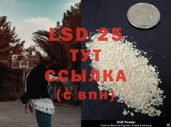 кокс Липки