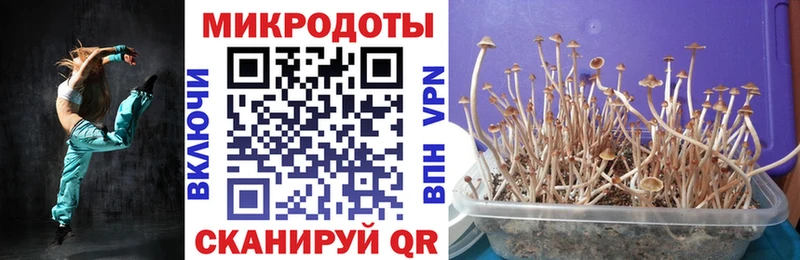 Галлюциногенные грибы GOLDEN TEACHER  Купить где  Обоянь 